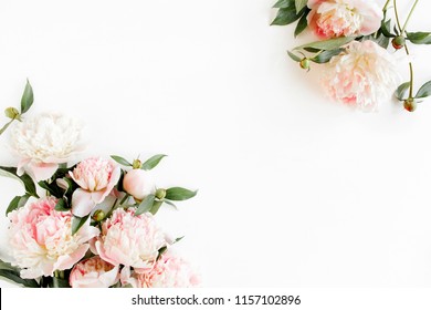 Border frame made of pink and beige peonies flower and isolated on white background. Flat lay, top view. Frame of flowers.