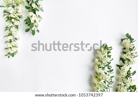 Similar – Flower frame on white background