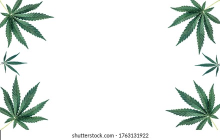 1,094 Cannabis leaf border Stock Photos, Images & Photography ...