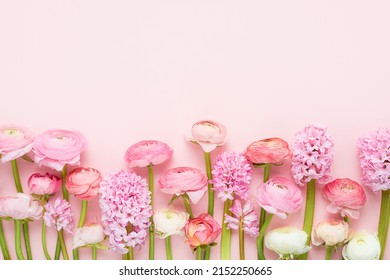 Border of pink ranunculus and hyacinths on a pink background. Mothers Day, Valentines Day, birthday concept. Top view, copy space for text