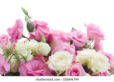 Pink Border Rose White Stock Images, Royalty-Free Images & Vectors ...