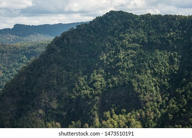 The Border Ranges National Park With Mount Warning In The Background. Rain Forest In Australia