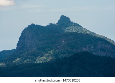 The Border Ranges National Park With Mount Warning In The Background. Rain Forest In Australia