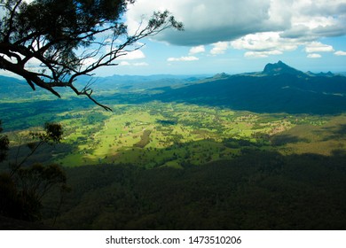 The Border Ranges National Park With Mount Warning In The Background. Rain Forest In Australia