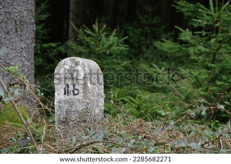 Border stone in the middle of the forest
