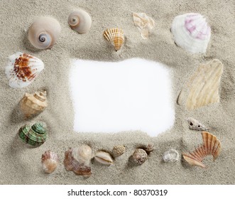 Border Summer Shells Frame Composition Over Beach Sand Beach With Blank Paper