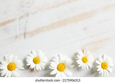 13,874 Yellow white daisy borders Images, Stock Photos & Vectors ...