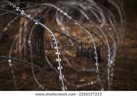 
Border wire fence trough pine forest. protecting the state's border from illegal migration and russian invasion. defending and regaining occupied territory 
