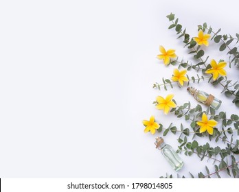 Border of yellow Frangipani flowers in a row with green eucalyptus twig leaves with bottles of essential oil - Shutterstock ID 1798014805