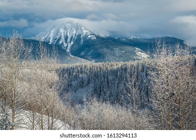 Boreal forest and backcountry mountains near Smithers BC, Canada in winter.