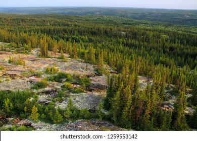 Boreal Forest In The Far North Of Canada, James Bay, Quebec