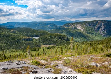 The Boreal Forest Surrounding The Mountains In Charlevoix, Qc, Canada