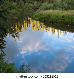 Boreal Forest Taiga Reflection On Calm Water Surface Of Wetland Pond, Yukon Territory, Canada