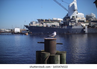 Bored Sea Gull Sits On A Rusty Barrel In The Portsmouth Virginia Bay With A Blurred Shipyard Background