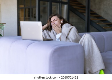 Bored Woman At Home On The Couch In Winter Under A Cozy Blanket, Watching TV Shows, Movies On A Laptop, Killing Time