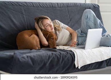 Bored Woman Resting And Lying On Couch Take Break, Watching Movie, Working On Laptop, Embracing Her Lovely Vizsla Dog At Home In Living Room. Lazy Weekend. 