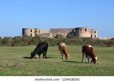 Borgholm Castle At The Island Oland