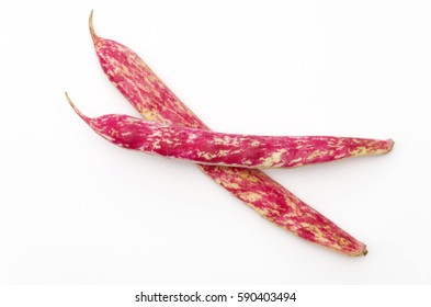 Borlotti Beans