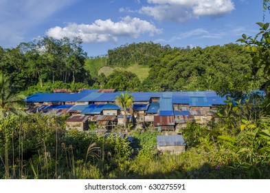 Borneo, Malaysia - Iban Longhouse From Above, Hidden Among The Trees