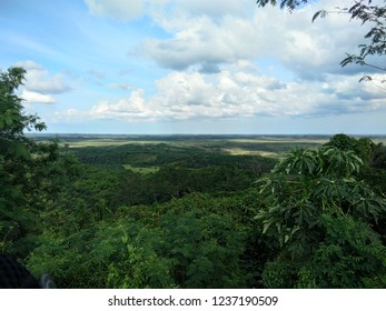 Borneo Rain Forest Is An Ecoregion, Within The Tropical And Subtropical Moist Broadleaf Forests Biome, Of The Large Island Of Borneo In Southeast Asia.