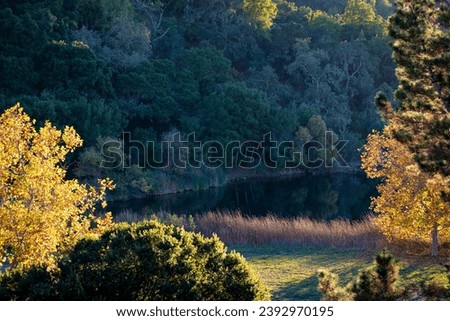 Boronda Lake at Foothills Nature Preserve, park and nature preserve in the Santa Cruz Mountains of California, in fall surrounded by beautiful landscape, fall foliage and hills, at sunset