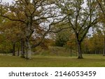 In Borre, which is located in Vestfold county (Norway), you can see 9 large and about 30 smaller burial mounds. The mounds are beautifully situated down towards the fjord in a park with large oak tree