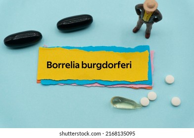 Borrelia burgdorferi.The word is written on a slip of colored paper. health terms, health care words, medical terminology. wellness Buzzwords. disease acronyms.