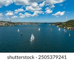 Bosphorus Yachts Race Drone Photo, Besiktas, Istanbul Turkiye (Turkey)