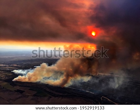 Bosque Fire In New Mexico Summer Time