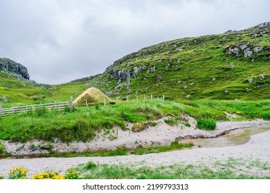 Bosta (Bostadh) Iron Age House Covered With Grass - Isle Of Lewis, Scotland