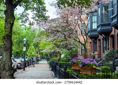 Boston Back Bay Quiet Street