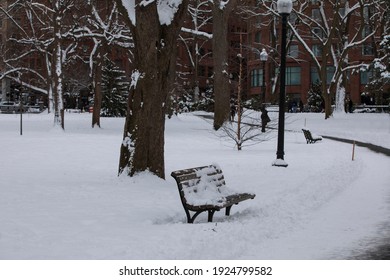 Boston Common Park After A Snowstorm.