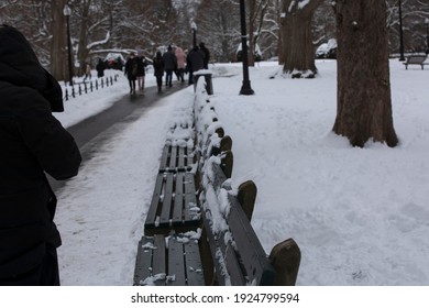 Boston Common Park After A Snowstorm.