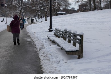 Boston Common Park After A Snowstorm.