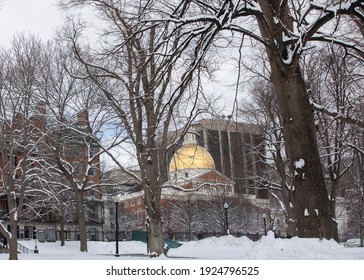 Boston common park at the winter, after a snow storm.