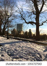 Boston Common Winter