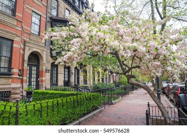 Boston in early spring, Massachusetts, USA