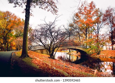 Boston Esplanade In The Fall