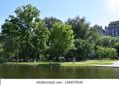 BOSTON, MA - JUN 16: Public Garden In Boston, Massachusetts, As Seen On Jun 16, 2018.  It Is A Part Of The Emerald Necklace System Of Parks And Was The First Public Botanical Garden In America.