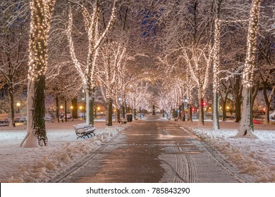 Boston In Massachusetts, USA At Commonwealth Avenue With Snow And Christmas Lights At Night.