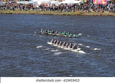 BOSTON - OCTOBER 23, 2016: Bromfield Acton Boxborough (bottom) Bedford(middle)  St andrews(top) races in the Head of Charles Regatta Men's Youth Eights [PUBLIC RACE]