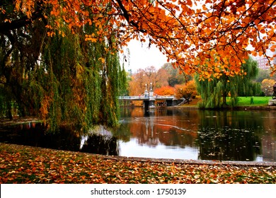 Boston Public Garden