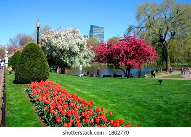 Boston Public Garden