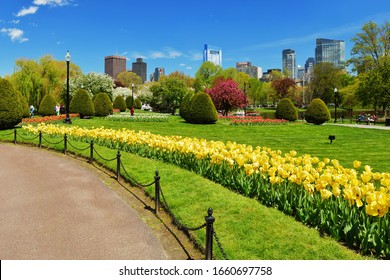 Boston Public Garden And City Skyline In The Spring, Panoramic View