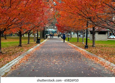 Boston Public Garden In The Fall Season.