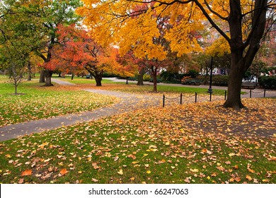 Boston Public Garden In The Fall Season.