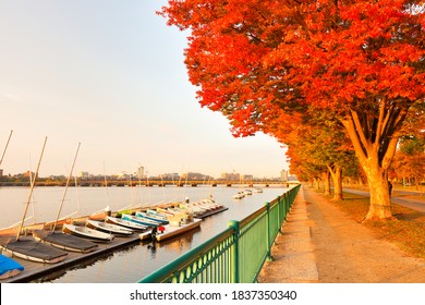 Cambridge Massachusetts Images Stock Photos Vectors Shutterstock