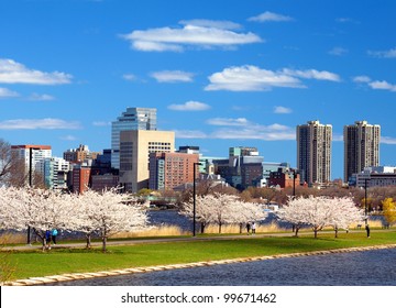 Boston in the spring with cherry blossoms at Charles River Esplanade.