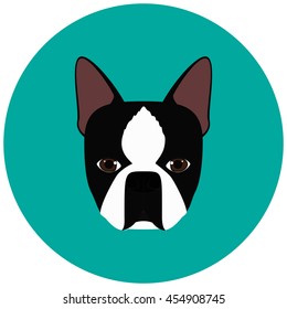 Cute Cartoon Boston Terrier Stock Images, Royalty-Free Images & Vectors