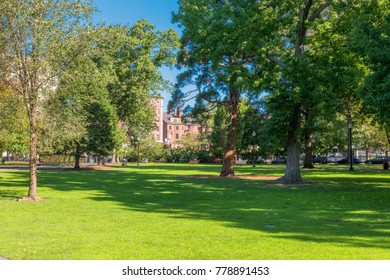 Boston USA Public Garden, Common Frog Pond And City Skyline. 